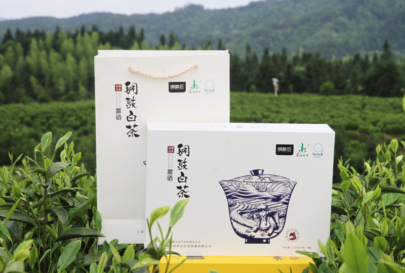 四川健康的绿茶厂家