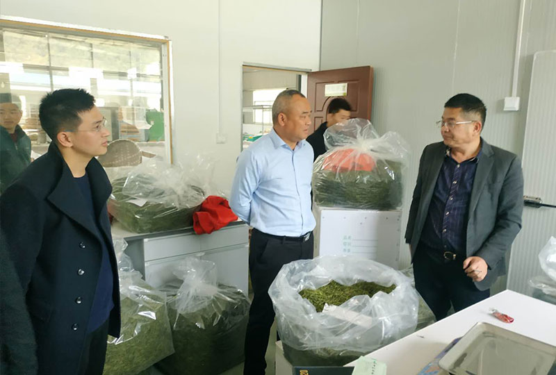 广东有机的富硒茶供应商
